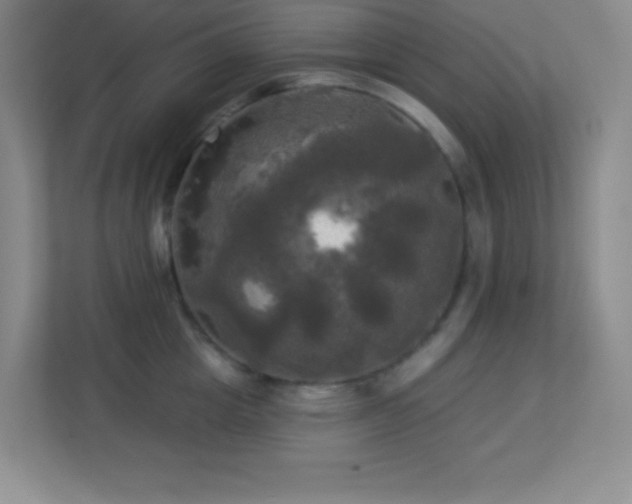 X0000113920857200909241528