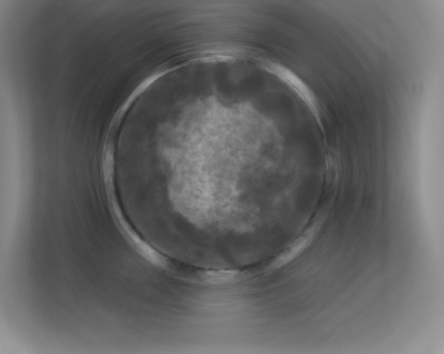 X0000113920859200909241528