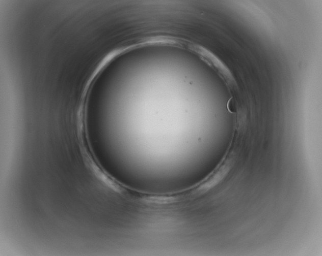 X0000113920860200909241528