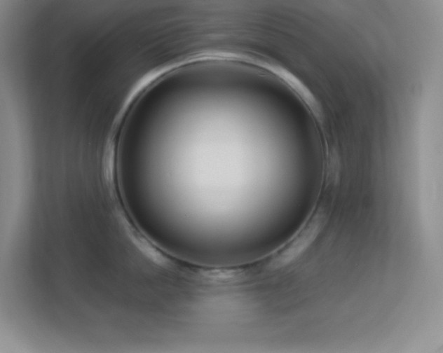 X0000113920862200909241528