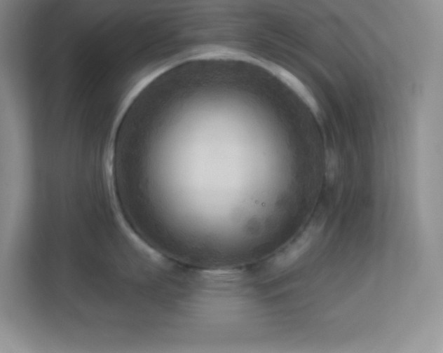 X0000113920863200909241528