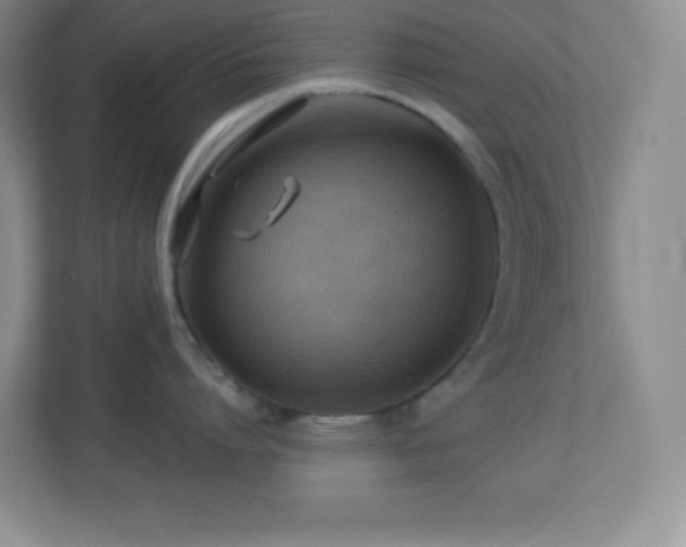 X0000113920864200909241528