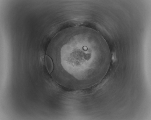 X0000113920867200909241528