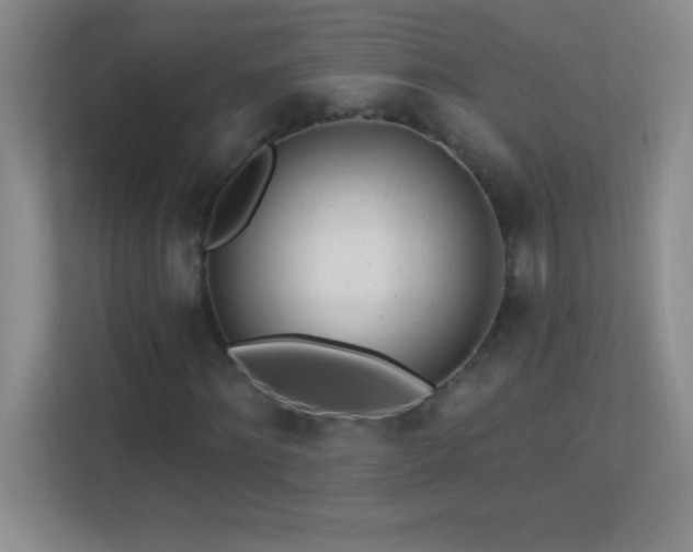 X0000113920868200909241528