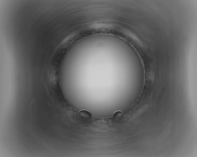 X0000113920869200909241528