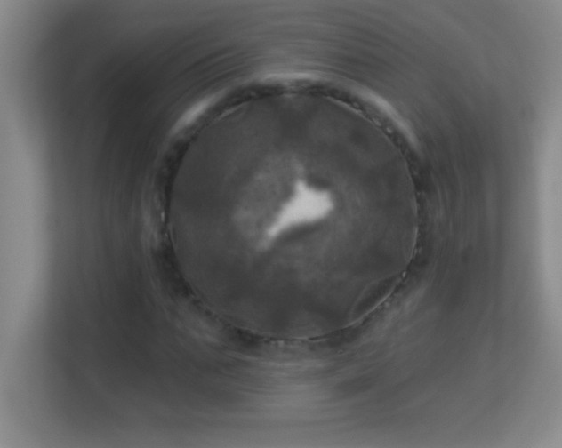 X0000113920871200909241528