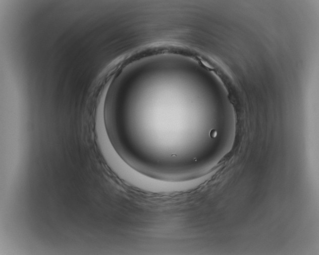 X0000113920872200909241528