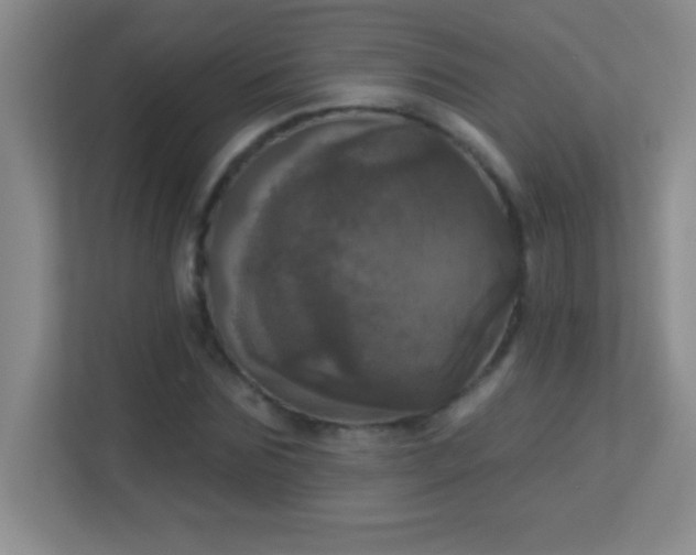 X0000113920875200909241528