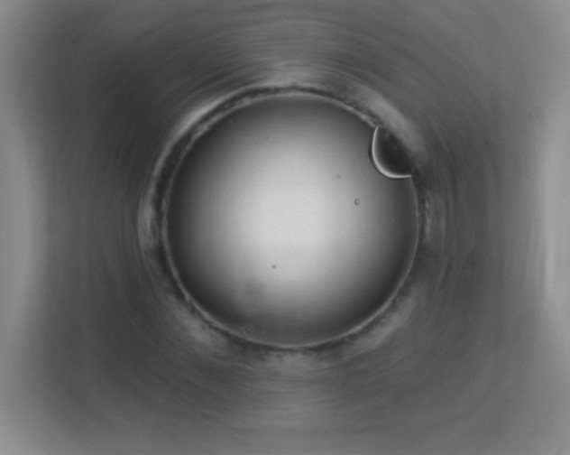 X0000113920876200909241528