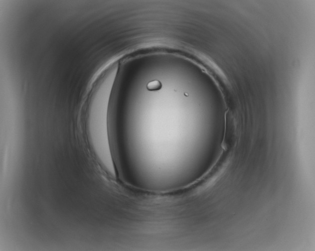 X0000113920877200909241528