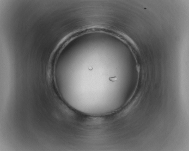 X0000113920878200909241528