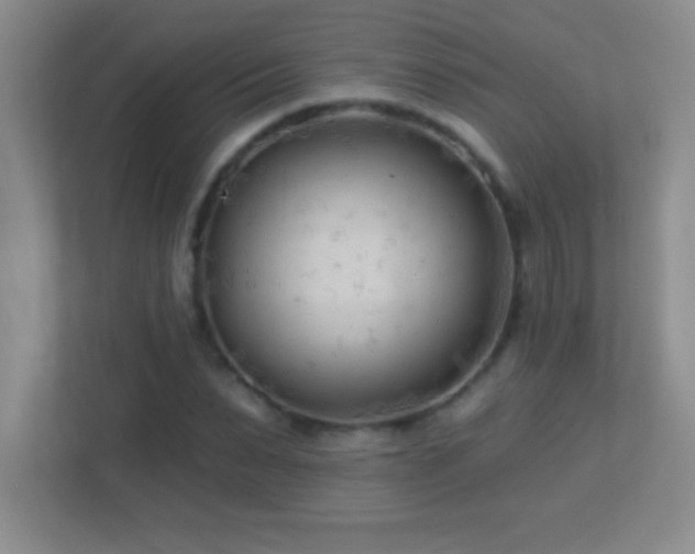 X0000113920879200909241528