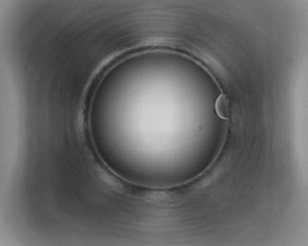 X0000113920880200909241528