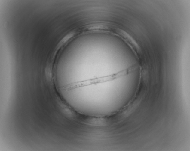 X0000113920882200909241528