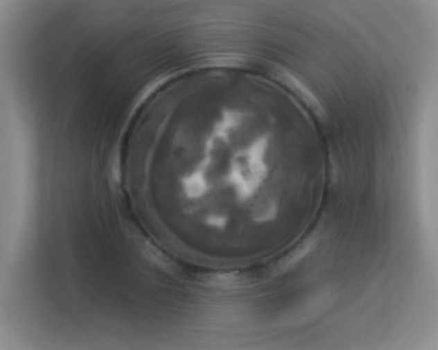 X0000113920883200909241528