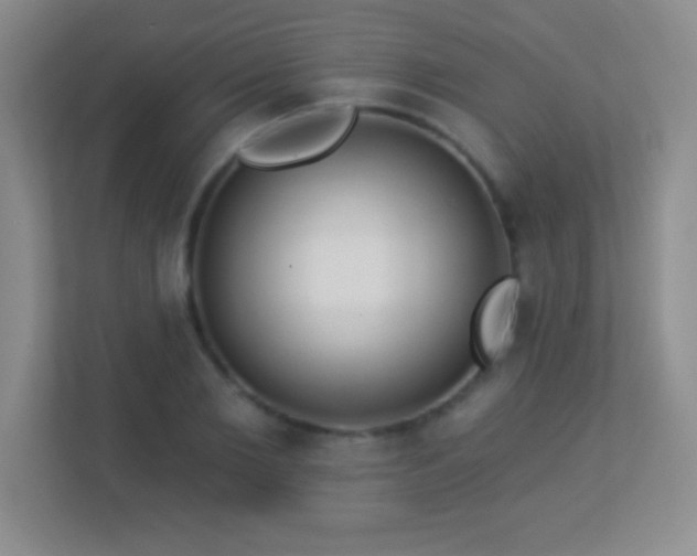 X0000113920885200909241528