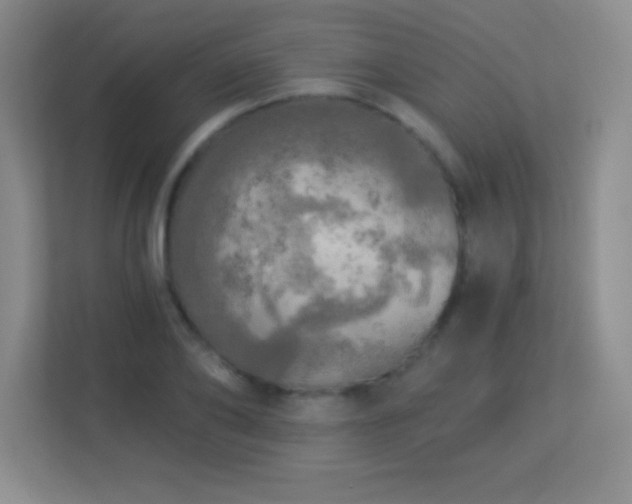 X0000113920886200909241528