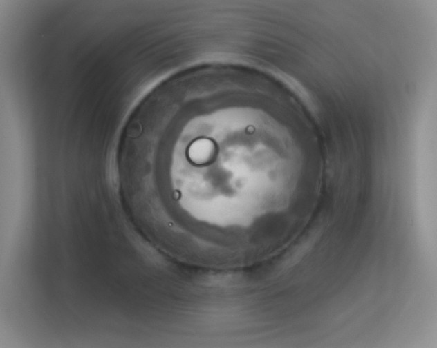 X0000113920887200909241528