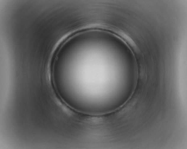 X0000113920888200909241528