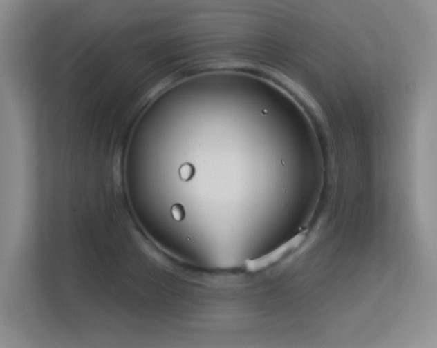 X0000113920889200909241527