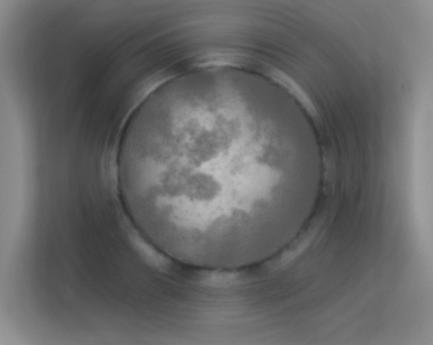 X0000113920890200909241527