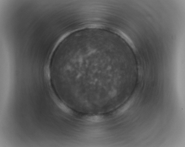 X0000113920891200909241527