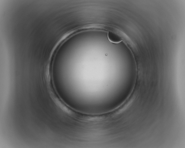 X0000113920892200909241527