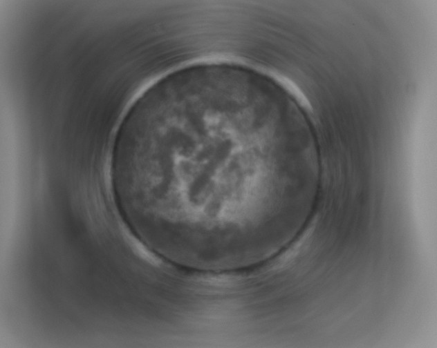 X0000113920895200909241527