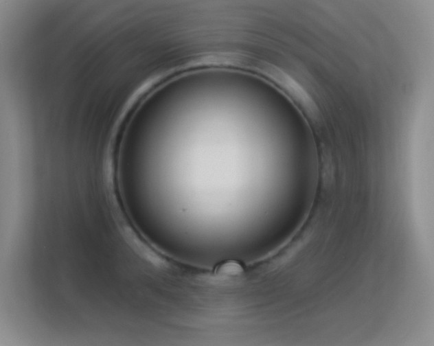 X0000113920896200909241527