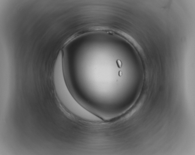 X0000113920897200909241527