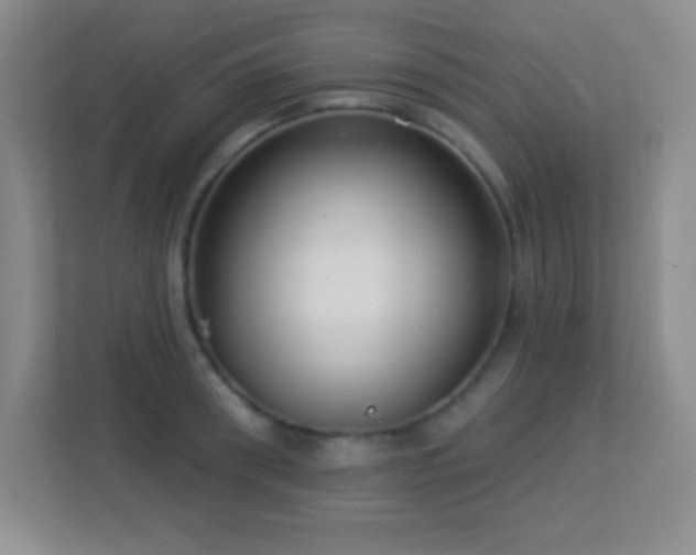 X0000113920898200909241527