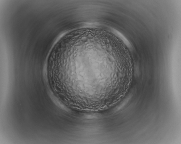 X0000113920899200909241527