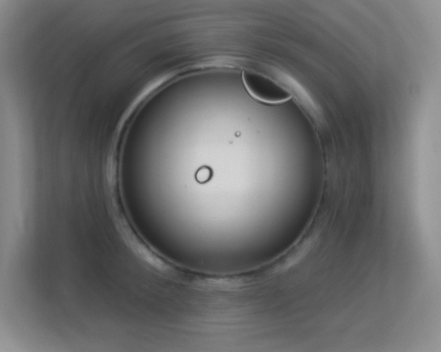 X0000113920900200909241527