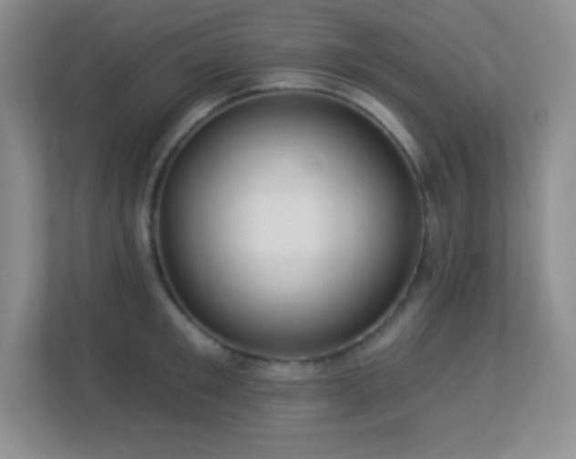 X0000113920901200909241527