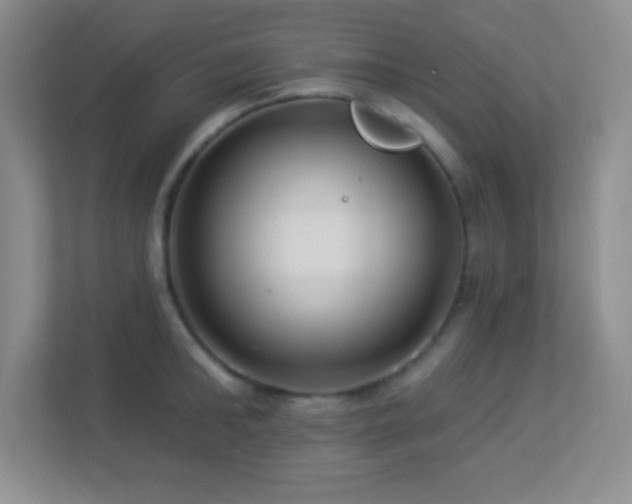 X0000113920902200909241527