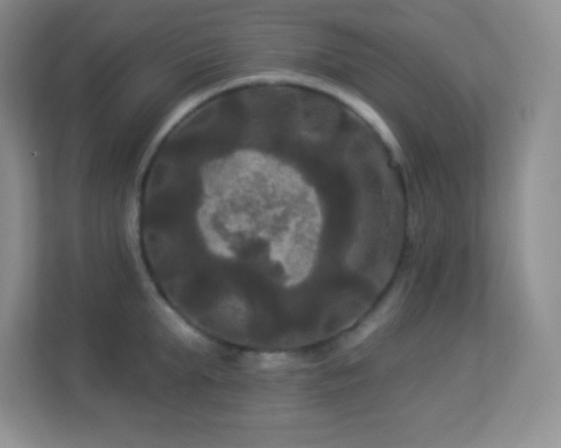 X0000113920903200909241527