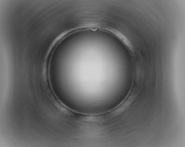 X0000113920904200909241527