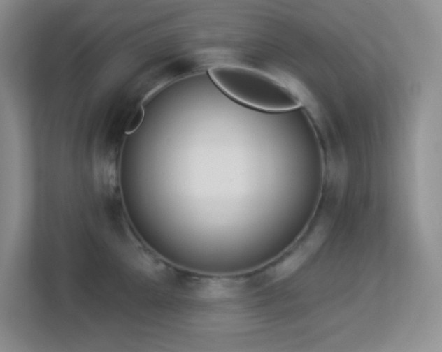 X0000113920905200909241527