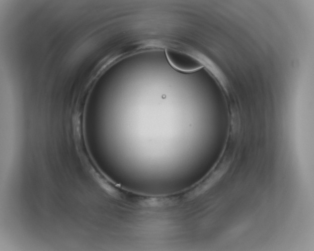 X0000113920906200909241527