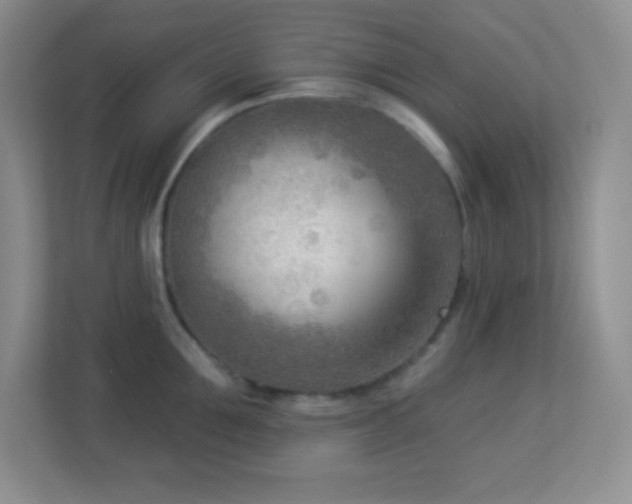 X0000113920907200909241527