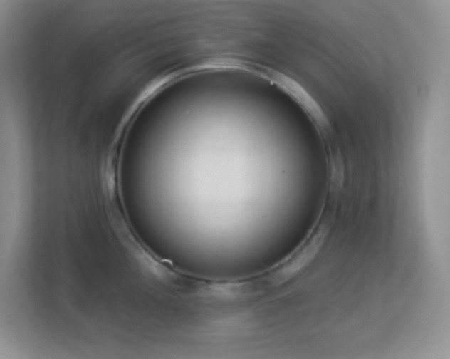 X0000113920908200909241527