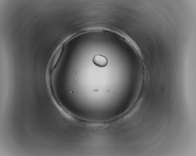 X0000113920909200909241527