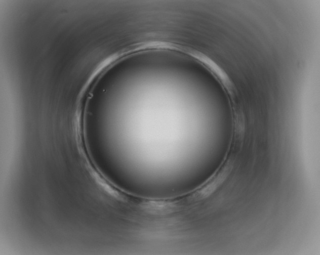 X0000113920910200909241527