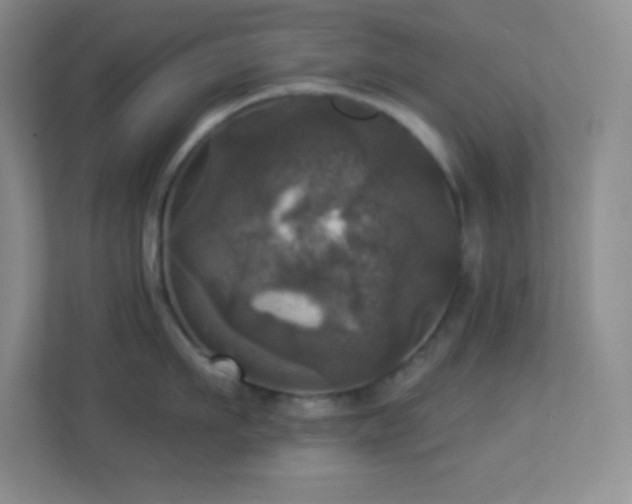 X0000113920911200909241527