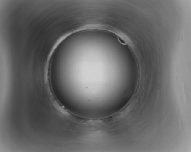 X0000113920912200909241527