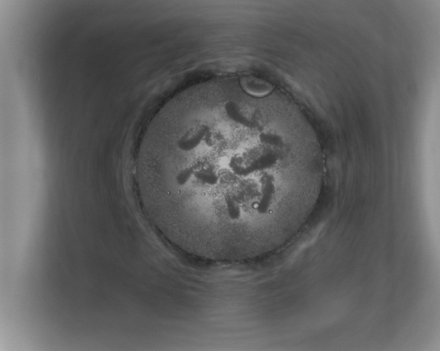 X0000113920913200909241526