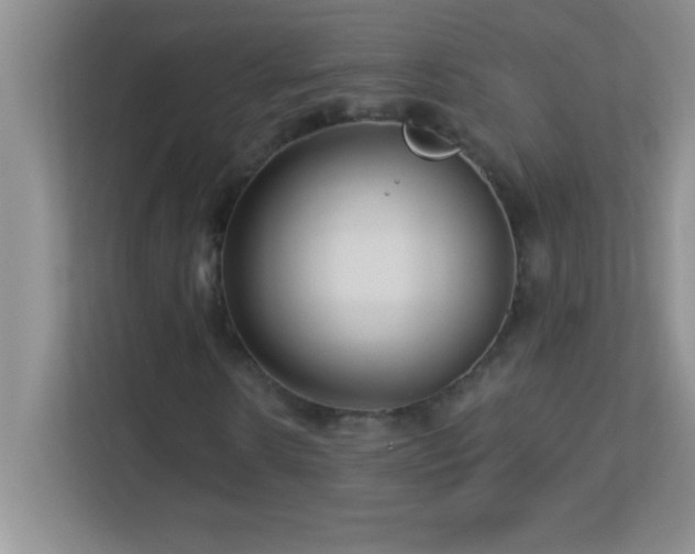 X0000113920914200909241526