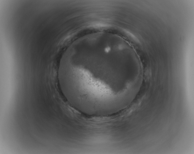 X0000113920917200909241526