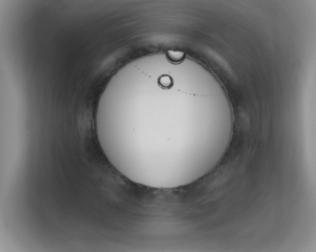 X0000113920918200909241526