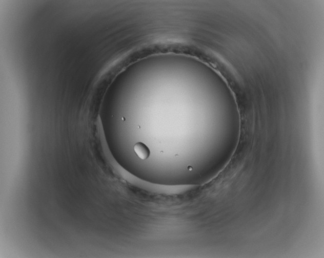 X0000113920919200909241526